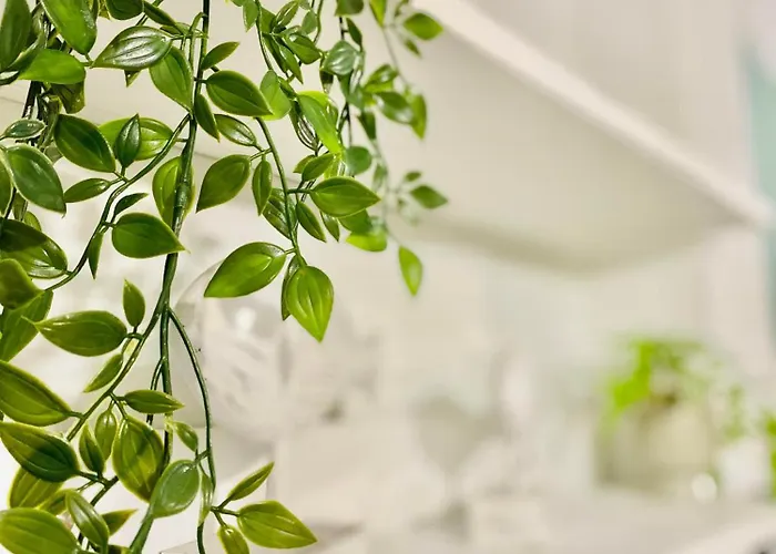 Niso Hospitality Lejlighed *