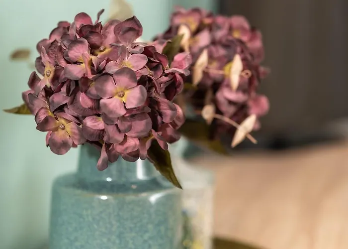 Lejlighed Niso Hospitality