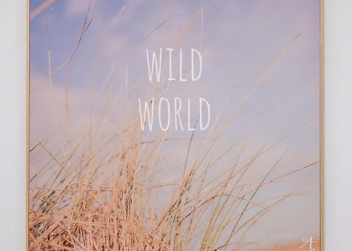 Lejlighed Niso Hospitality *