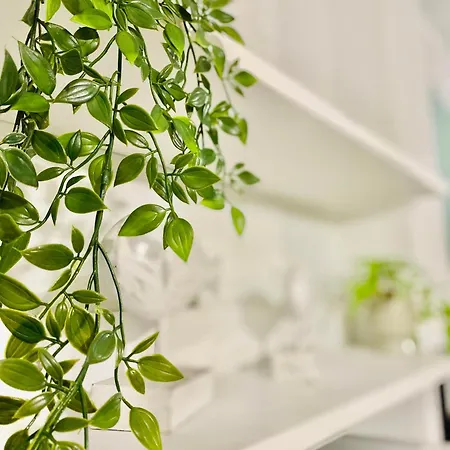 Niso Hospitality Apartament *